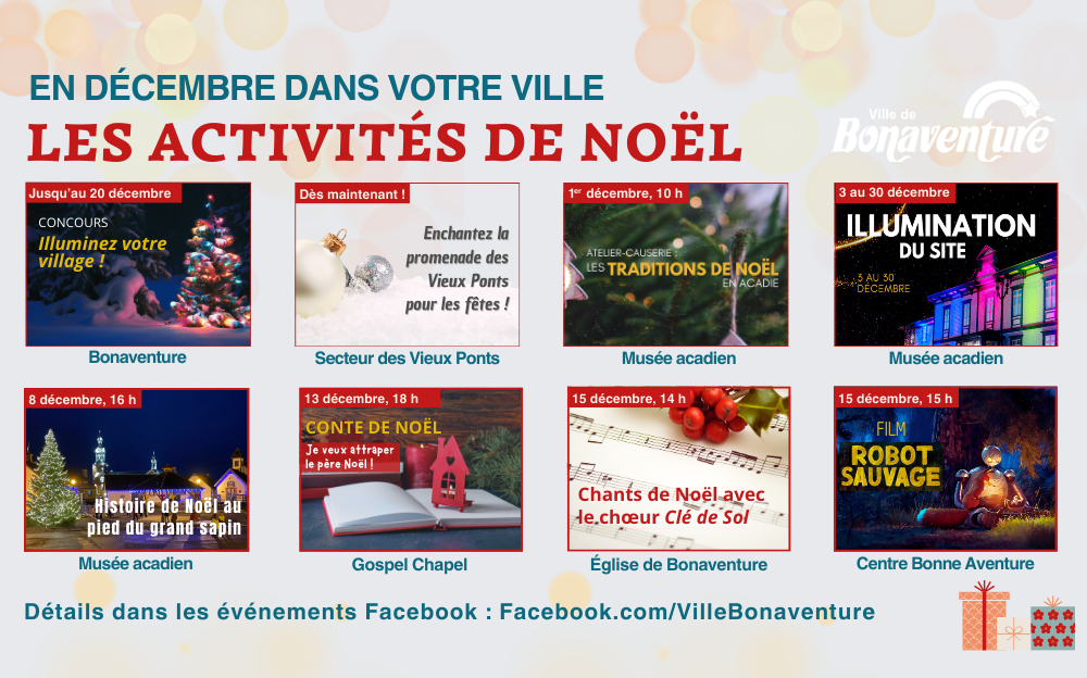 ACTIVITÉS DU TEMPS DES FÊTES