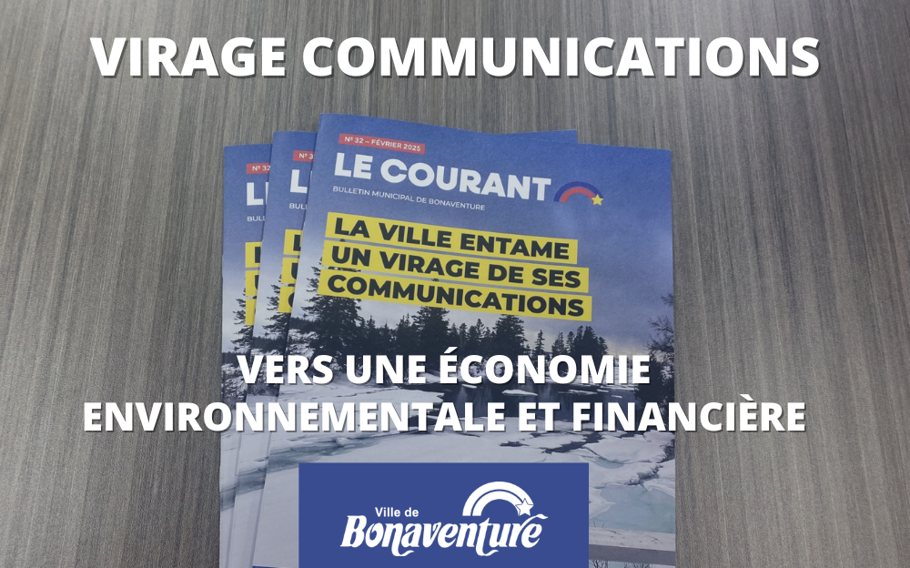 VIRAGE COMMUNICATIONS