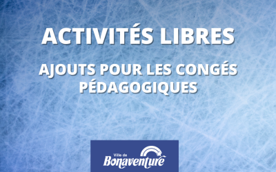 PLUS D’ACTIVITÉS LIBRES POUR LES CONGÉS PÉDAGOGIQUES !