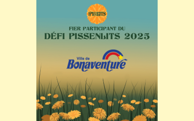 DÉFI PISSENLITS