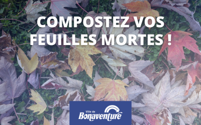 COMPOSTEZ VOS FEUILLES MORTES !