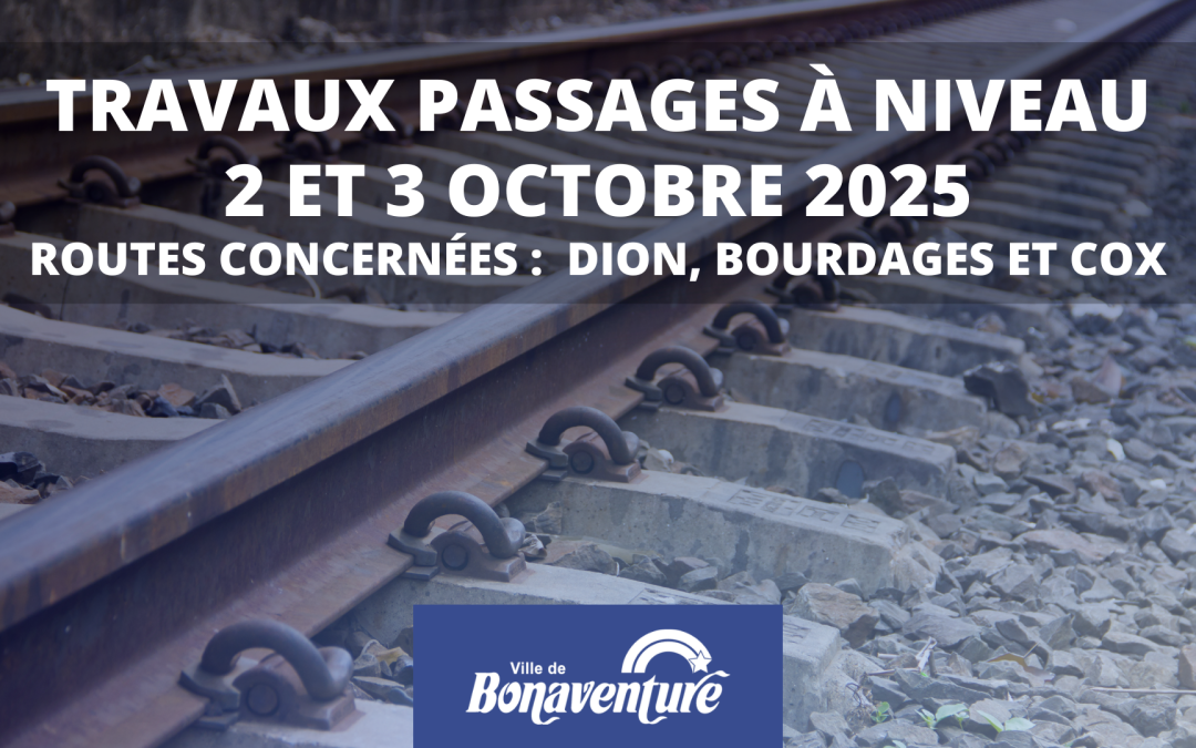 TRAVAUX PASSAGES À NIVEAU