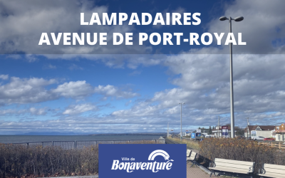REMPLACEMENT DES LAMPADAIRES – AVENUE DE PORT-ROYAL
