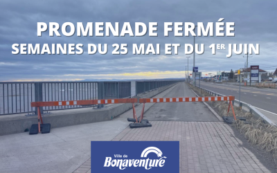 REMPLACEMENT DES LAMPADAIRES